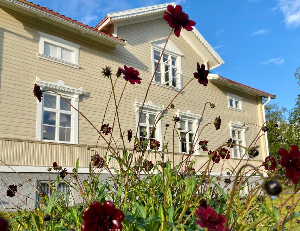 ארבידסיאור Lapland Lodge מראה חיצוני תמונה